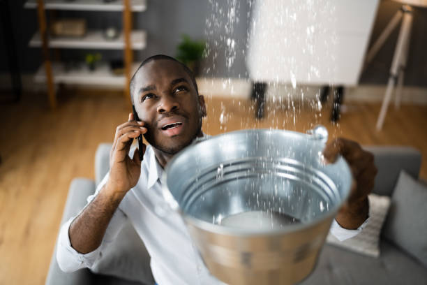 Best Emergency water extraction  in Brook Highland, AL