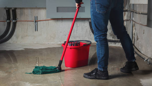  Brook Highland, AL Water damage restoration Pros