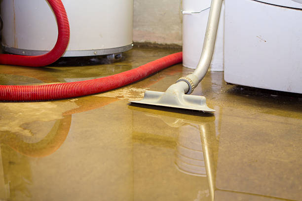 Best Carpet water damage restoration  in Brook Highland, AL