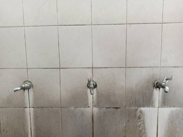 Best Ceiling water damage repair  in Brook Highland, AL