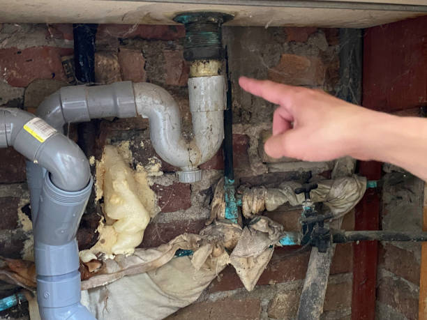 Reliable Brook Highland, AL Water damage restoration Solutions