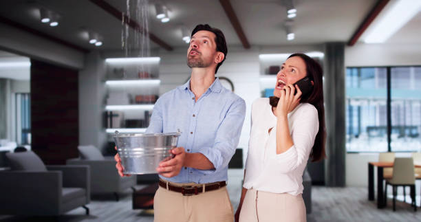 Best Water damage restoration near me  in Brook Highland, AL